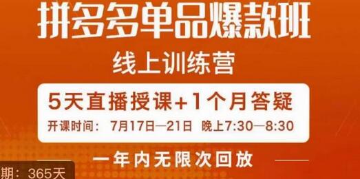 钟辰·拼多多单品爆款班，一个拼多多超级爆款养一个团队-七哥资源网 - 全网最全创业项目资源