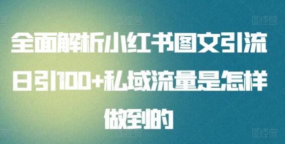 全面解析小红书图文引流日引100+私域流量是怎样做到的-七哥资源网 - 全网最全创业项目资源