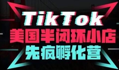 疯人院·TikTok美国半闭环小店孵化营，抢占TikTok美国蓝海市场，开店、运营、带货、投流全实操-七哥资源网 - 全网最全创业项目资源