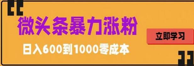 微头条暴力涨粉技巧搬运文案就能涨几万粉丝，简单0成本，日赚600-七哥资源网 - 全网最全创业项目资源