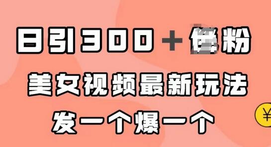 日引300＋男粉，美女视频最新玩法，发一个爆一个-七哥资源网 - 全网最全创业项目资源