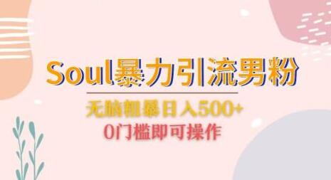 Soul暴力引流男粉玩法，无脑粗暴日入500＋，0门槛即可操作-七哥资源网 - 全网最全创业项目资源