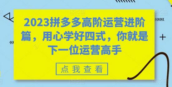 2023拼多多高阶运营进阶篇，用心学好四式，你就是下一位运营高手-七哥资源网 - 全网最全创业项目资源