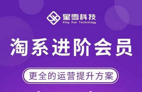 星雪·淘系进阶课程，快速提升突破技能流量瓶颈必备（更新2023年5月）-七哥资源网 - 全网最全创业项目资源