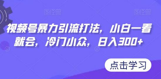 视频号暴力引流打法，小白一看就会，冷门小众，日入300+-七哥资源网 - 全网最全创业项目资源