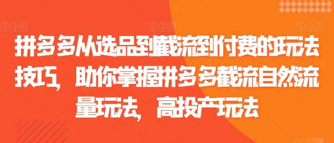 拼多多从选品到截流到付费的玩法技巧，助你掌握拼多多截流自然流量玩法，高投产玩法-七哥资源网 - 全网最全创业项目资源