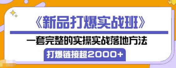 凌童《新品打爆实战班》,一套完整的实操实战落地方法，打爆链接超2000+（28节课)-七哥资源网 - 全网最全创业项目资源