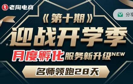 老陶电商《拼多多名师线上领跑28天-第10期》迎战开学季月度孵化实操复盘！-七哥资源网 - 全网最全创业项目资源