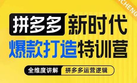 玺承·拼多多新时代爆款打造特训营，全维度讲解拼多多运营逻辑-七哥资源网 - 全网最全创业项目资源