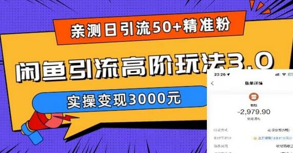 亲测日引50+精准粉，闲鱼引流高阶玩法3.0，实操变现3000元【揭秘】-七哥资源网 - 全网最全创业项目资源