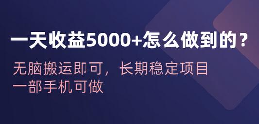 一天收益5000+怎么做到的？无脑搬运即可，长期稳定项目，一部手机可做-七哥资源网 - 全网最全创业项目资源