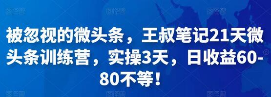 被忽视的微头条，王叔笔记21天微头条训练营，实操3天，日收益60-80不等！-七哥资源网 - 全网最全创业项目资源