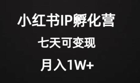 价值2000+的小红书IP孵化营项目，超级大蓝海，七天即可开始变现，稳定月入1W+-七哥资源网 - 全网最全创业项目资源