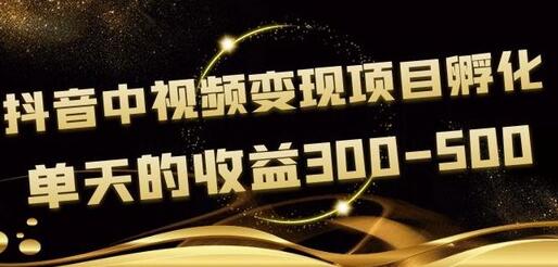 黄岛主抖音中视频变现项目孵化，单天的收益300-500操作简单粗暴-七哥资源网 - 全网最全创业项目资源