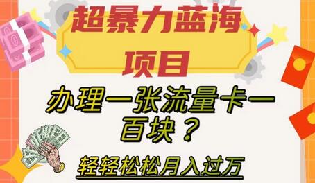 超暴力蓝海项目，办理一张流量卡一百块？轻轻松松月入过万，保姆级教程-七哥资源网 - 全网最全创业项目资源