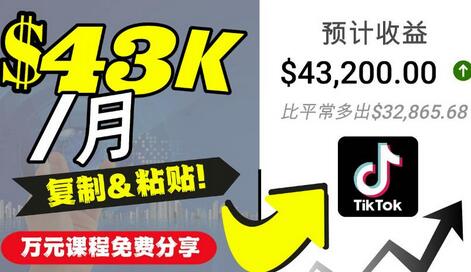 2022抖音国际版Tiktok赚钱项目：每天上传一个视频就轻松月入$43200-七哥资源网 - 全网最全创业项目资源