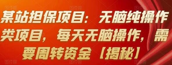 某站担保项目：无脑纯操作类项目，每天无脑操作，需要周转资金【揭秘】-七哥资源网 - 全网最全创业项目资源