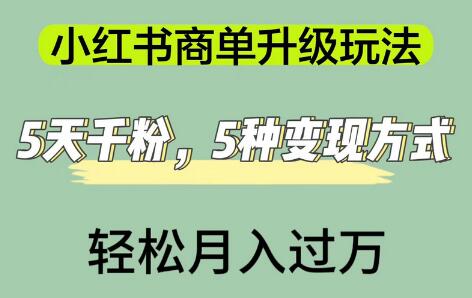 小红书商单升级玩法，5天千粉，5种变现渠道，轻松月入1万+-七哥资源网 - 全网最全创业项目资源