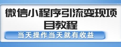 微信小程序引流变现项目教程，当天操作当天就有收益，变现不再是难事-七哥资源网 - 全网最全创业项目资源