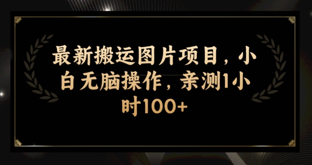 最新搬运图片项目，小白无脑操作，亲测1小时100+-七哥资源网 - 全网最全创业项目资源