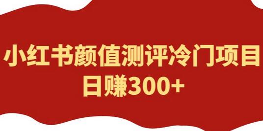 外面1980的项目，小红书颜值测评冷门项目，日赚300+【揭秘】-七哥资源网 - 全网最全创业项目资源