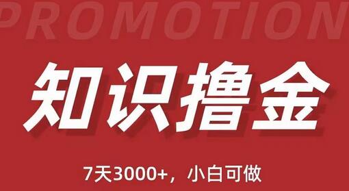 抖音知识撸金项目：简单粗暴日入1000+执行力强当天见收益(教程+资料)-七哥资源网 - 全网最全创业项目资源