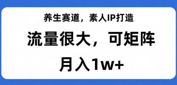 养生赛道，素人IP打造，流量很大，可矩阵，月入1w+-七哥资源网 - 全网最全创业项目资源