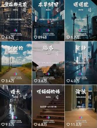 图片[2]-副业拆解：抖音杰伦音乐号涨粉变现项目，视频版一条龙实操玩法分享给你-七哥资源网 - 全网最全创业项目资源