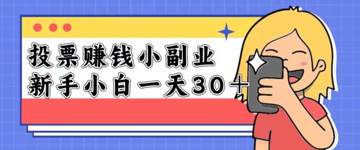 投票赚钱项目，一天保底20-50！适合新手小白操作-七哥资源网 - 全网最全创业项目资源