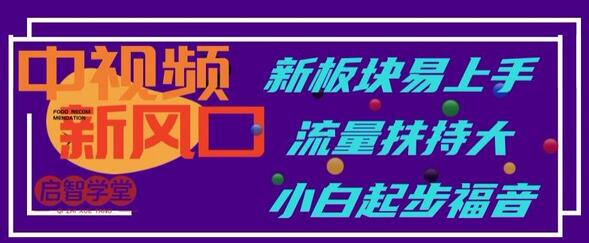 中视频新风口，新板块易上手，流量扶持大，小白起步福音-七哥资源网 - 全网最全创业项目资源