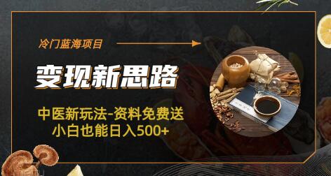 冷门蓝海项目-中医新玩法-资料免费送小白也能日入500+-七哥资源网 - 全网最全创业项目资源