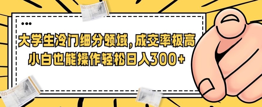 一个大学生冷门细分领域，成交率极高，小白也能操作，轻松日入300+-七哥资源网 - 全网最全创业项目资源