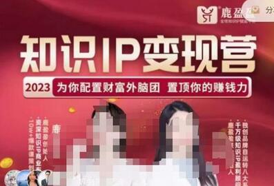 鹿盈盈-知识IP变现实操营，​普通人可复制的知识产品落地实操课，​带你打通知识IP变现底层逻辑-七哥资源网 - 全网最全创业项目资源