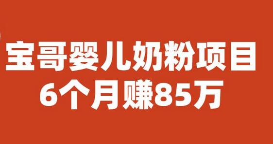 宝哥婴儿奶粉项目，6个月赚85w【图文非视频】-七哥资源网 - 全网最全创业项目资源