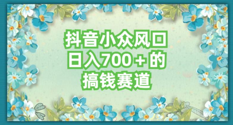 抖音小众赛道，长期可做，简单容易复制-七哥资源网 - 全网最全创业项目资源