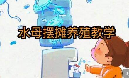 水母摆摊教学，包括摆摊技术、养殖技术、拿货渠道、抖音运营等-七哥资源网 - 全网最全创业项目资源