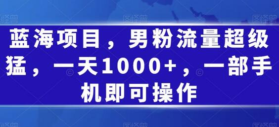 蓝海项目，男粉流量超级猛，一天1000+，一部手机即可操作-七哥资源网 - 全网最全创业项目资源