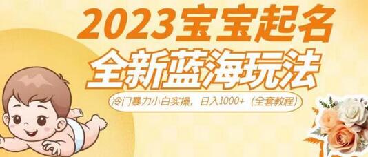 2023宝宝起名全新蓝海玩法，冷门暴力小白实操，日入1000+（全套教程）-七哥资源网 - 全网最全创业项目资源