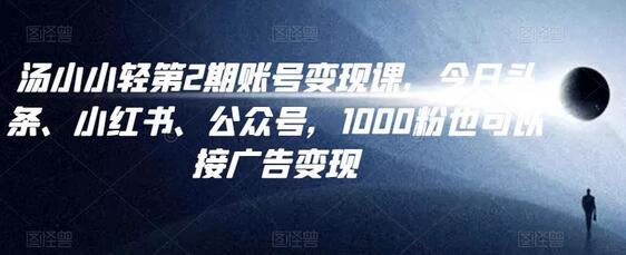 汤小小账号变现课第2期，今日头条、小红书、公众号，1000粉也可以接广告变现-七哥资源网 - 全网最全创业项目资源