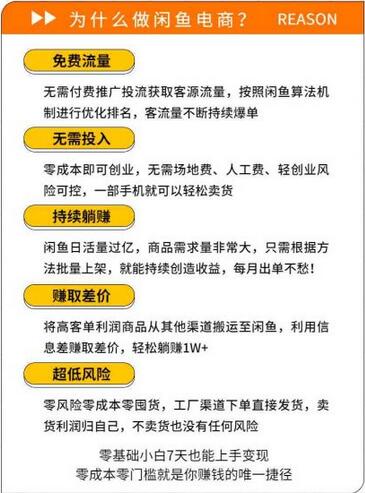 图片[2]-闲鱼精细化运营入门+高阶实战教学，从底层逻辑到轻松变现，多维度玩转闲鱼副业-七哥资源网 - 全网最全创业项目资源