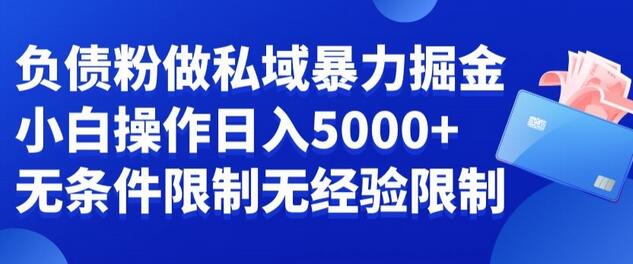负债粉私域暴力掘金，小白操作入5000，无经验限制，无条件限制-七哥资源网 - 全网最全创业项目资源