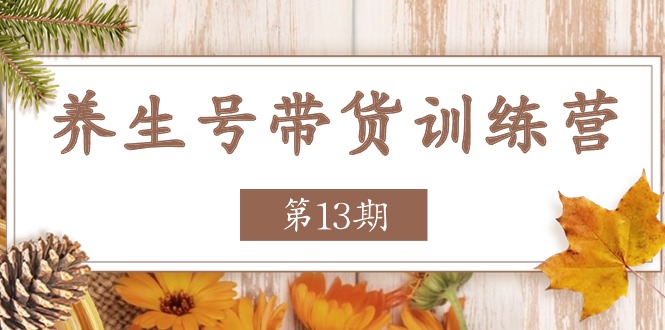 （11275期）养生号-带货训练营【第13期】收益更稳定的玩法，让你带货收益爆炸-七哥资源网 - 全网最全创业项目资源