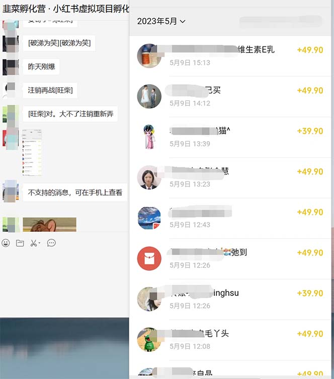 【终身VIP专享】小红书虚拟引流变现项目4期，日赚1000+只要有执行力，这个项目就适合