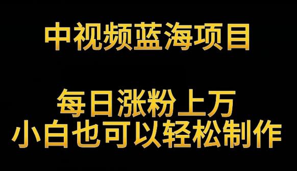 中视频蓝海项目，解读英雄人物生平，每日涨粉上万，小白也可以轻松制作，月入过万不是梦-七哥资源网 - 全网最全创业项目资源