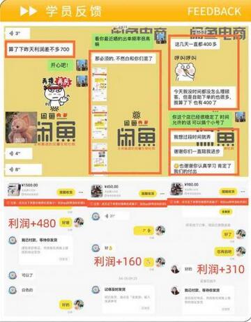 图片[3]-闲鱼精细化运营入门+高阶实战教学，从底层逻辑到轻松变现，多维度玩转闲鱼副业-七哥资源网 - 全网最全创业项目资源