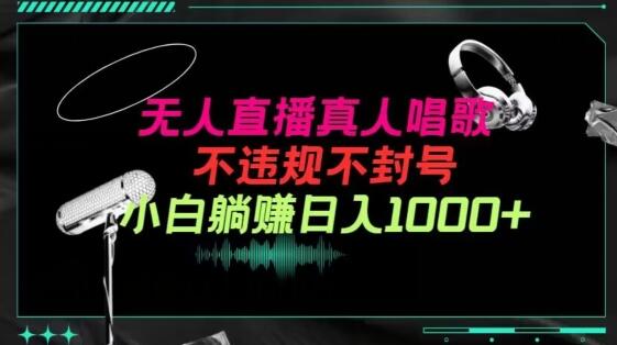 抖音24小时无人直播音乐，不违规，不封号纯撸音浪，小白实操当天日入1000+-七哥资源网 - 全网最全创业项目资源