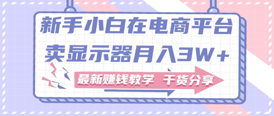 （11053期）新手小白如何做到在电商平台卖显示器月入3W+，最新赚钱教学干货分享-七哥资源网 - 全网最全创业项目资源