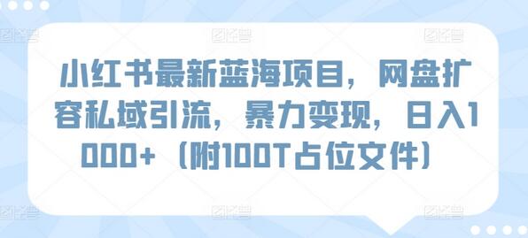 小红书最新蓝海项目，网盘扩容私域引流，暴力变现，日入1000+（附100T占位文件）-七哥资源网 - 全网最全创业项目资源