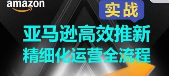 亚马逊高效推新精细化运营全流程，全方位、快速拉升产品排名和销量!-七哥资源网 - 全网最全创业项目资源