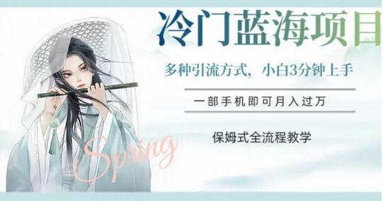 冷门蓝海项目，操作简单，小白3分钟上手，多种引流方式，保姆式全流程教学-七哥资源网 - 全网最全创业项目资源